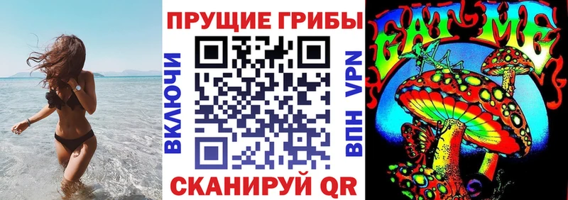Купить где  Курчатов  Галлюциногенные грибы Magic Shrooms 